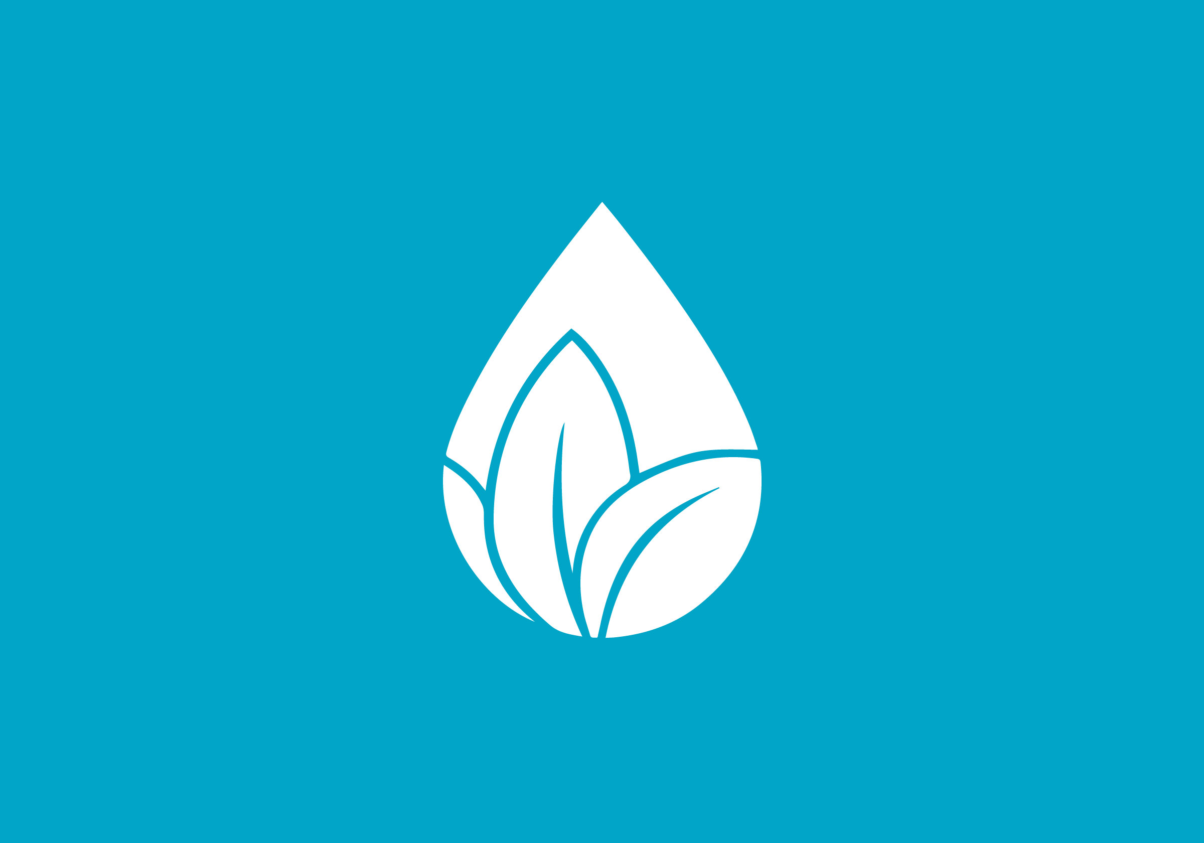 Azaaio Organics Beauty Logo Design icon