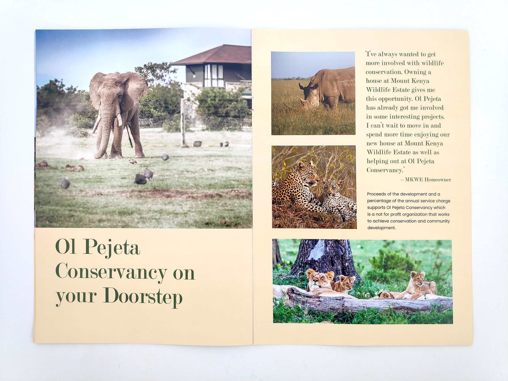 Mount Kenya Wildlife Estate Company Profile Design page 3