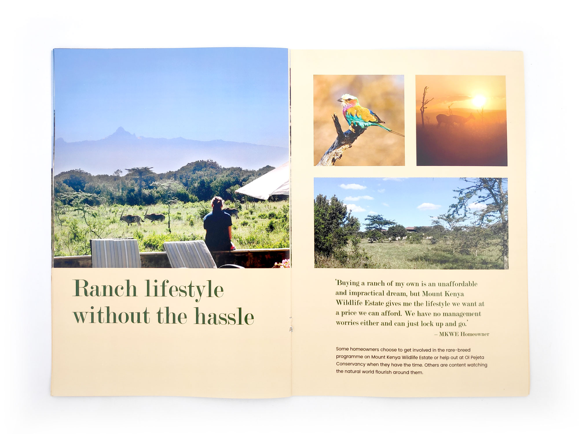 Mount Kenya Wildlife Estate Company Profile Design page 5